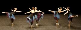 Gala de danse classique 14 ans à jeunes adultes 2026